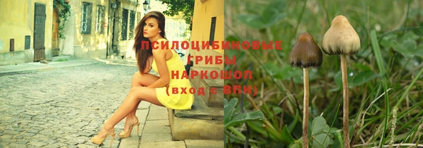 бошки Краснотурьинск